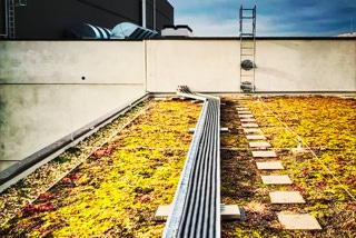 Lange geradeaus verlaufende Kabeltrassen-Metallkonstruktion auf begruentem Dach - Projekt Produktionsanlage Solarlux - Lange geradeaus, mittig durch Bild verlaufende Kabeltrassen-Metallkonstruktion auf begruentem Dach, endet an Betonwand, darueber blauer Himmel und Wolken - Projekt Produktionsanlage Solarlux