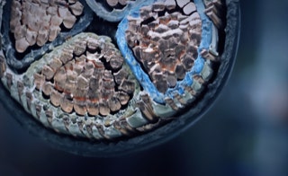 Leistungen - Niederspannung - Wir konzipieren und realisieren Niederspannungsmontagen - Nahaufnahme Querschnitt vieladriges Niederspannungskabel, Kupferadern, Hintergrund verschwommen